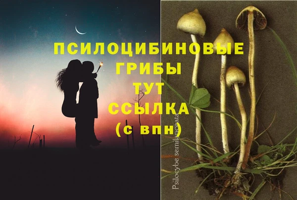 соль курить ск Михайловка