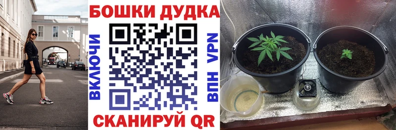 Шишки марихуана марихуана Яранск